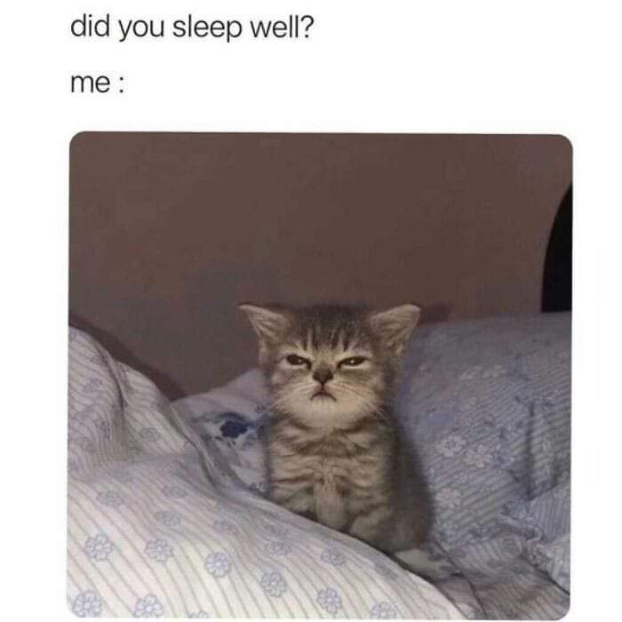 tweets_aamir's tweet photo. Me all day 😂😌 https://t.co/VPPhHm6p47