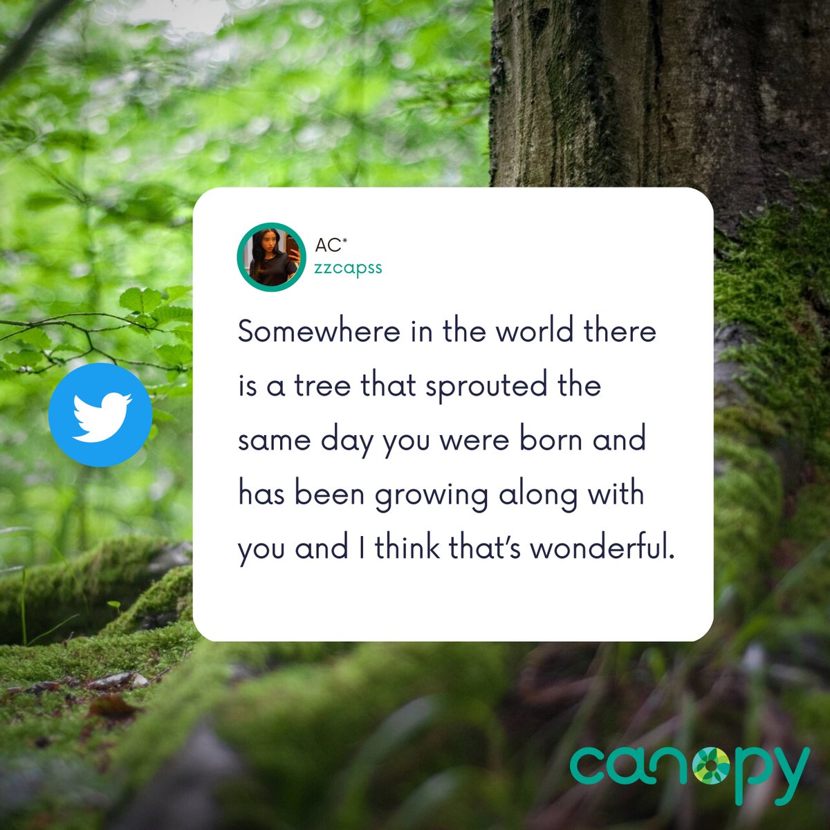 Everything is connected — embrace your roots! 🌳🌎💚 | #ForNature #NatureNeedsHalf