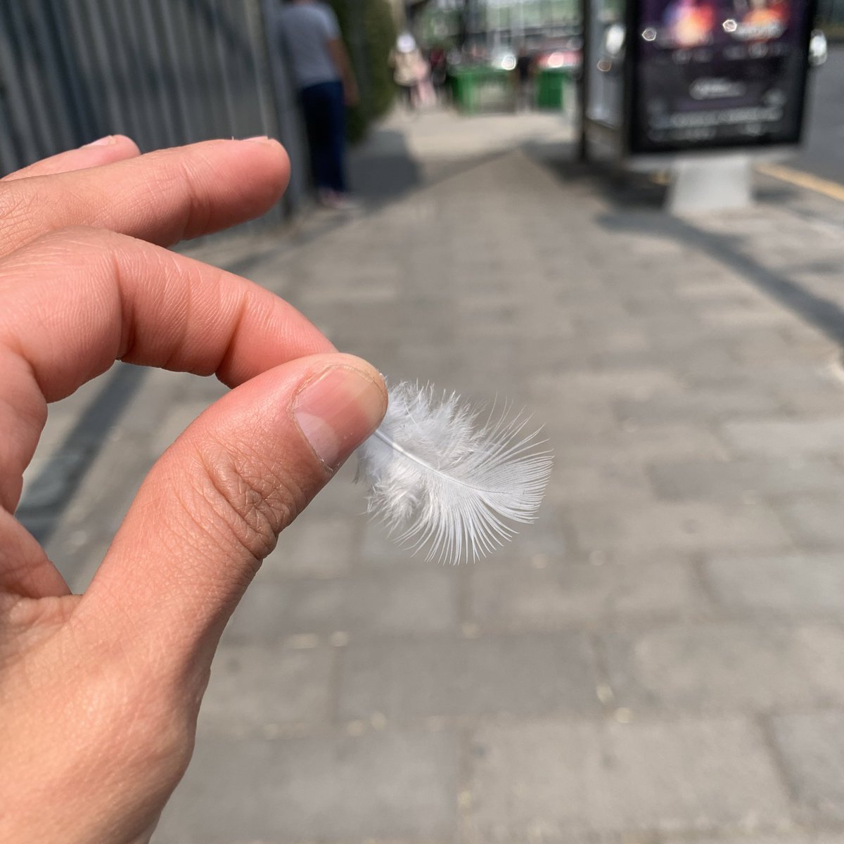 LandyNieto's tweet image. Saber manejar la incertidumbre es una habilidad muy necesaria, sobre todo en un #emprendimiento!! 🔥

Confía en ti, en tus ideas y en el impacto que quieres crear 💫🚀

#buildinginweb3