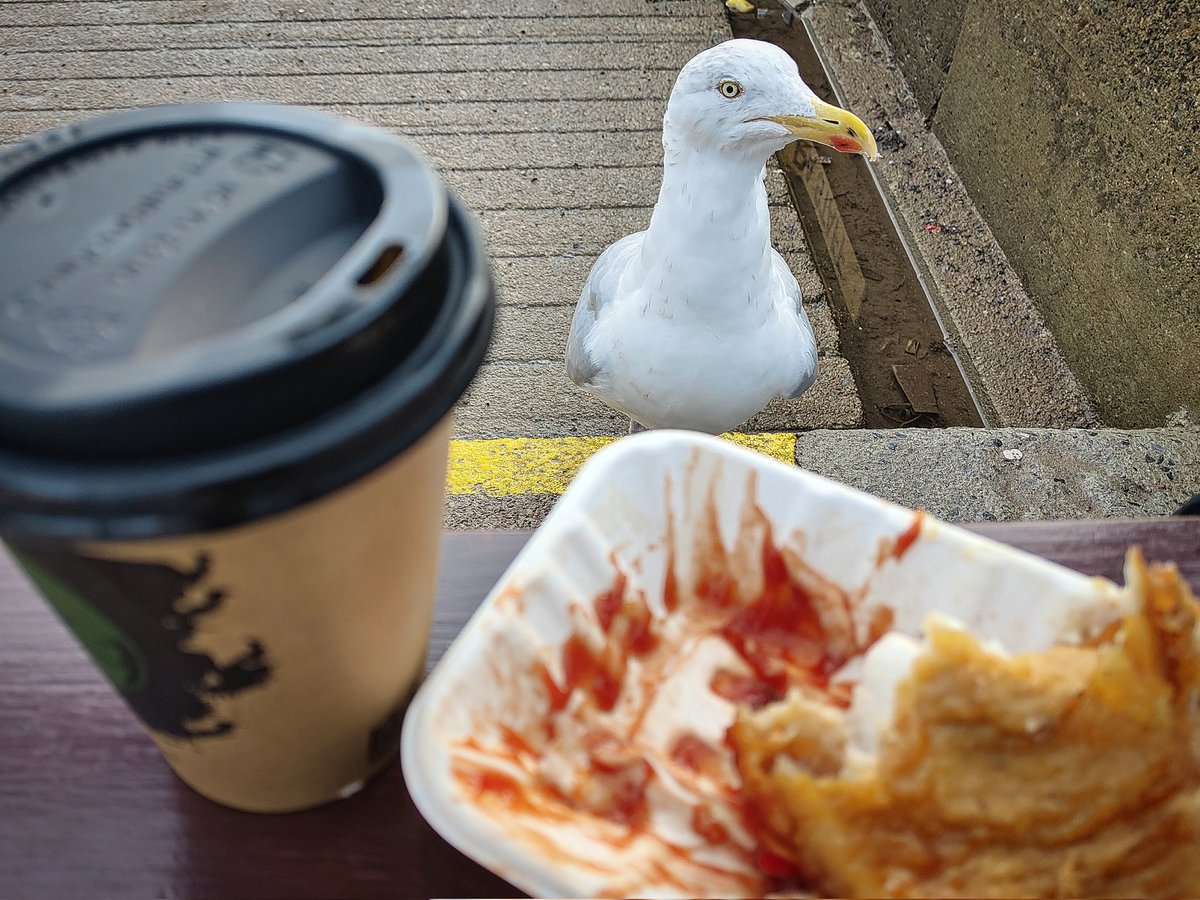 Catherine Munro tweet media