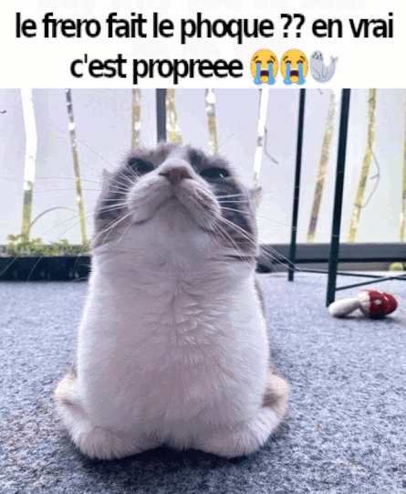 flustres's tweet photo. https://t.co/waUlcaNhfX