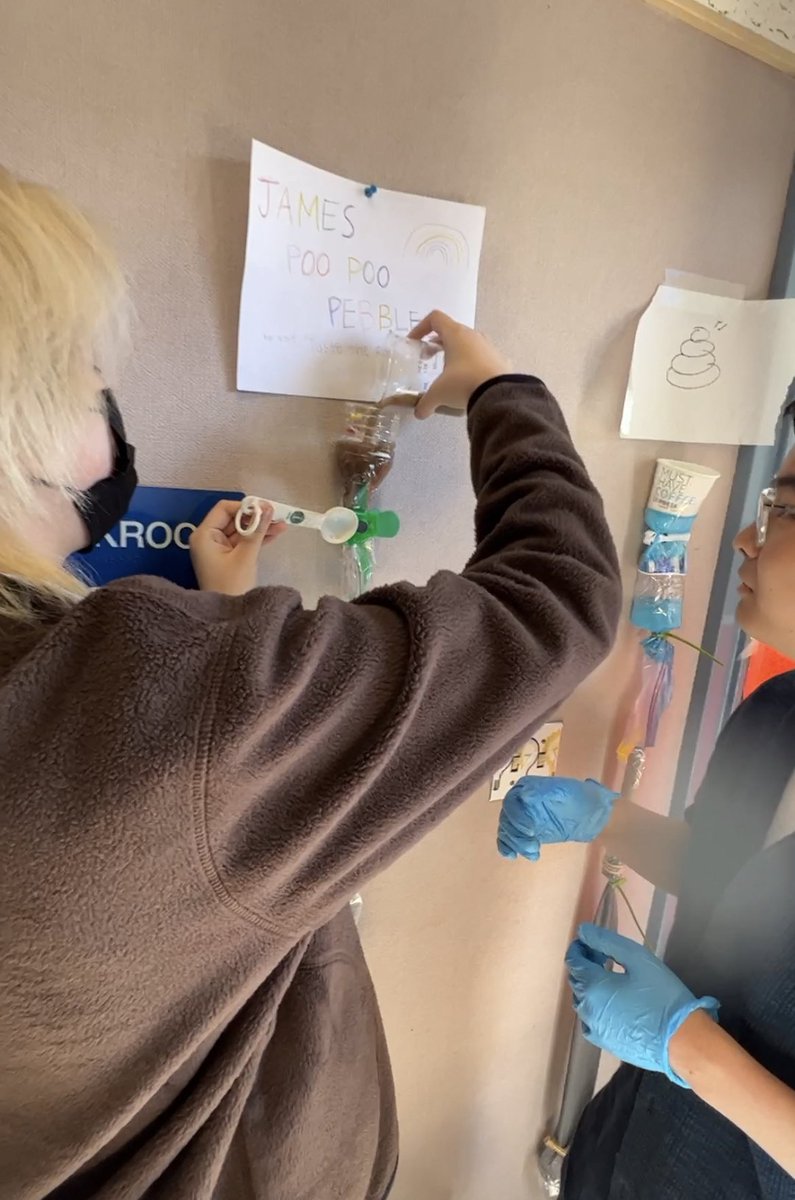 zhenbio's tweet photo. Building and testing a functional digestive system.  Food will pass through the model and the goal is the produce some semi-solid waste aka “poop” 💩💩
#zhenibbio
#TodayatWHS https://t.co/LuyNWZGpwL