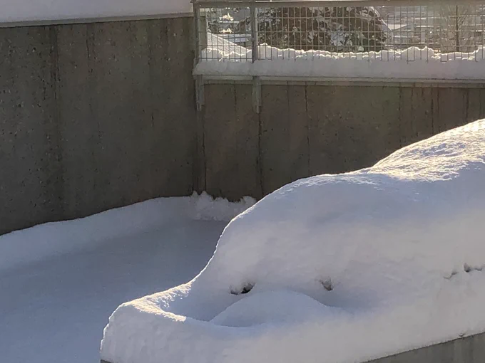 おはようございます昨夜の雪は止み、朝から晴れていますが雪がしっかり積もりました。朝から雪かきで身体が熱いです 