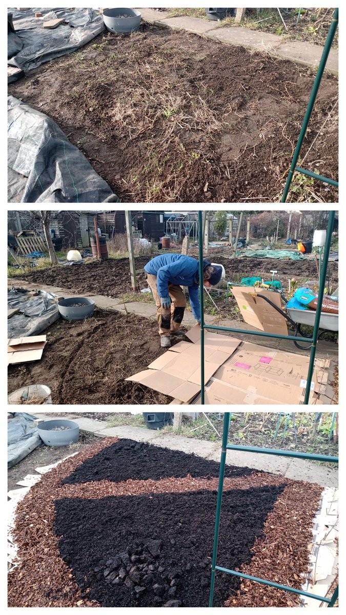 More #nodig at the #allotment. This time a new bed for the little one to look after.