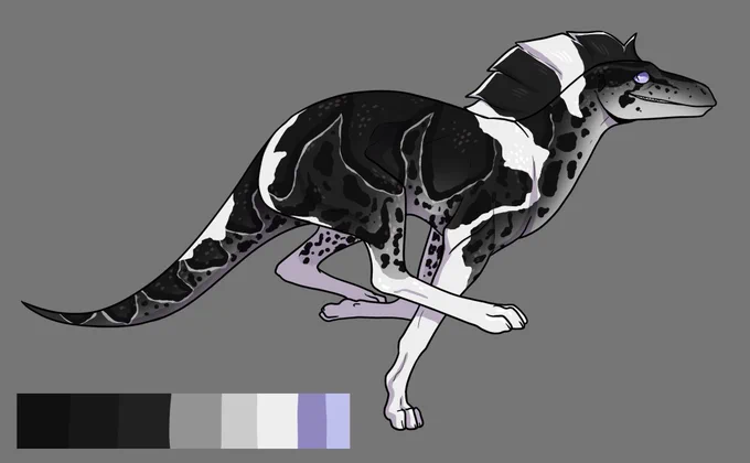 Newest character  