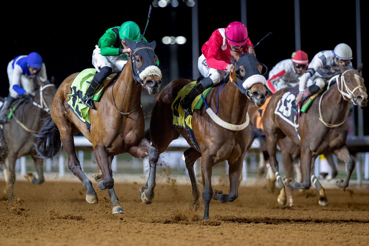 サウジカップが日本馬多数でこれじゃジャパンカップ」などと言われてい