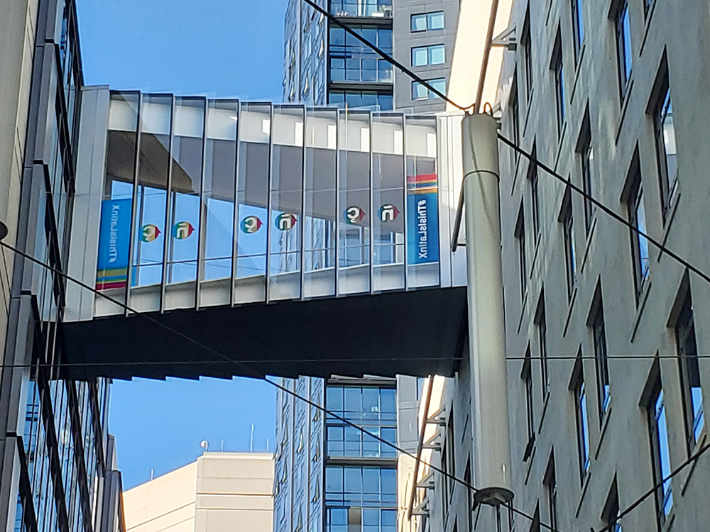 glass_apeel's tweet image. GlassApeel A Unique Non- Adhesive Window Film Removeable - Repositioning- Reusable #glassapeel #windowfilm #windowdecals