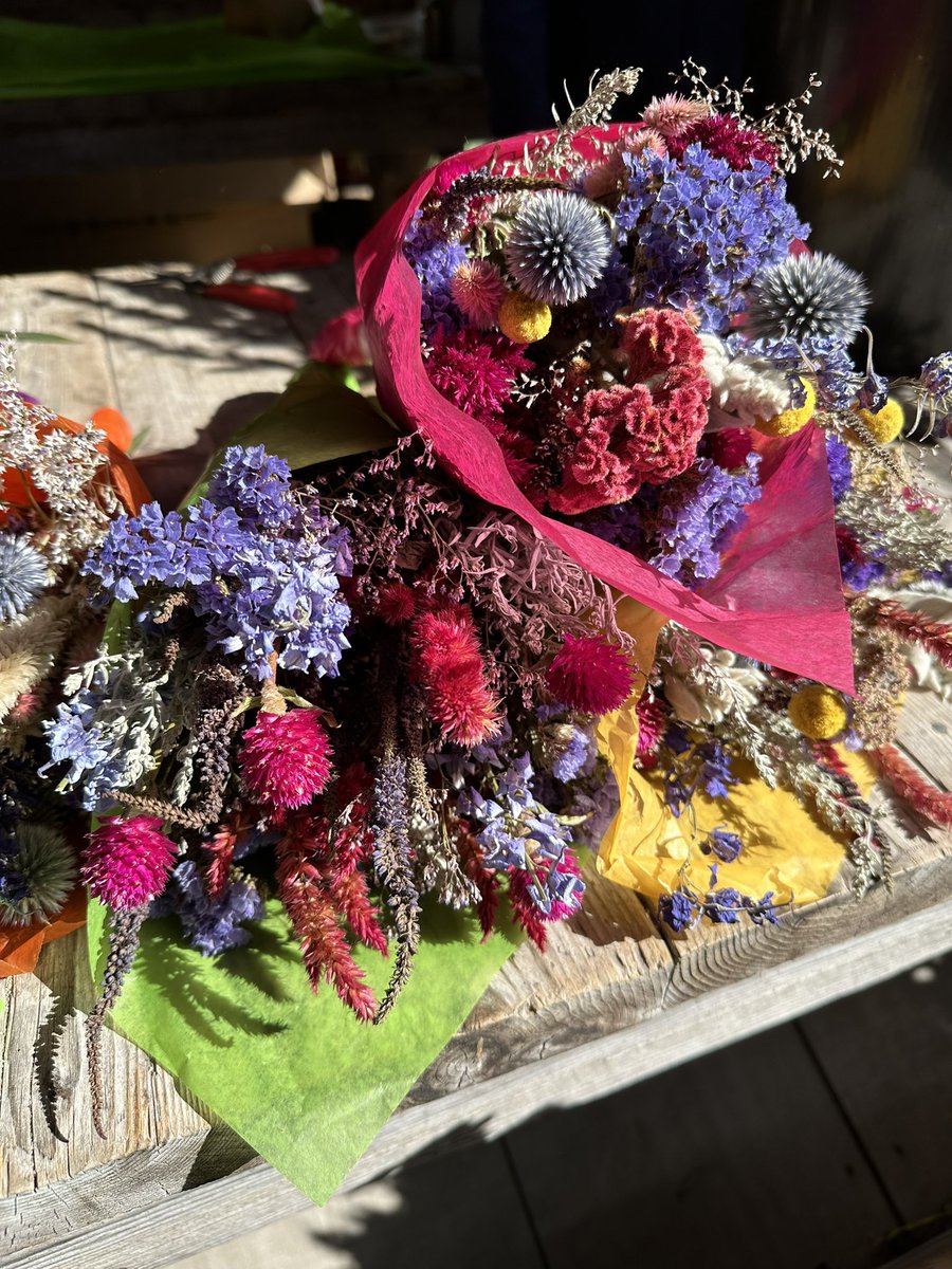 telekineticrose's tweet photo. Congrats to @EKSparks71 who just added “Aloe” and thus completed her Herbarium! 98 Flowers A-Z obsessively, lovingly tracked through Woolf’s writing. 

https://t.co/Kx6rTo0Khq https://t.co/EIRH6RDxnJ