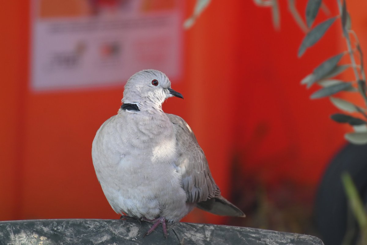 Tweet media one