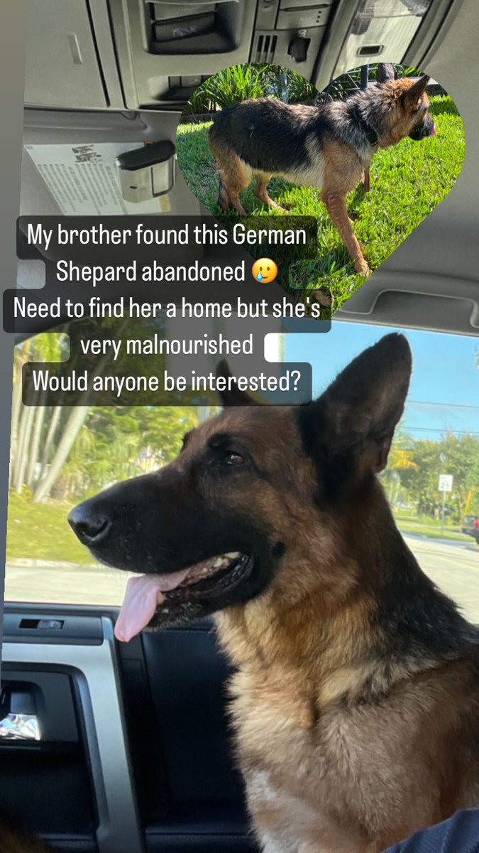 artkaylarose's tweet photo. Share this if you live in south Florida 🫶🏻 https://t.co/nXF19RNj1v