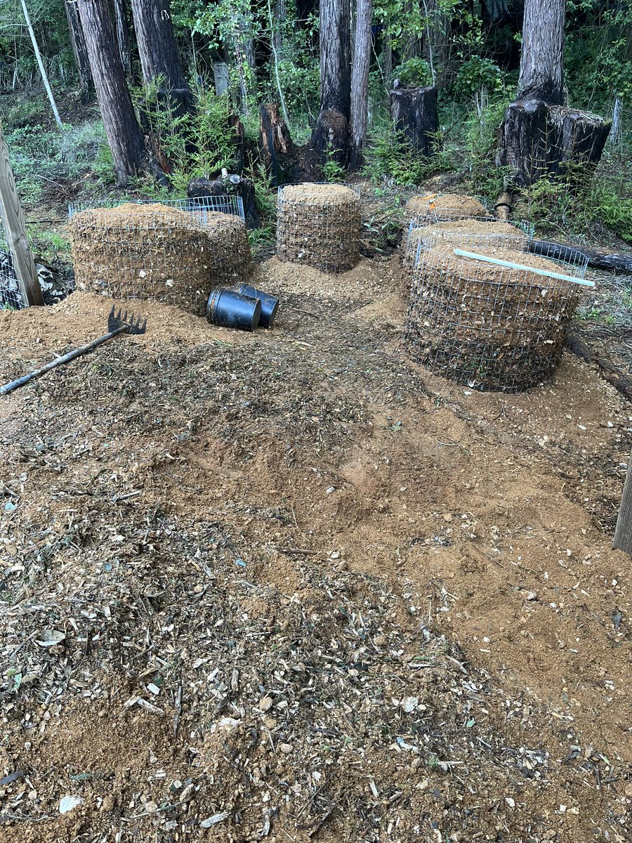 will_ardz's tweet photo. What’s in your soil? #compost #livingsoil https://t.co/mizDtH5qRr