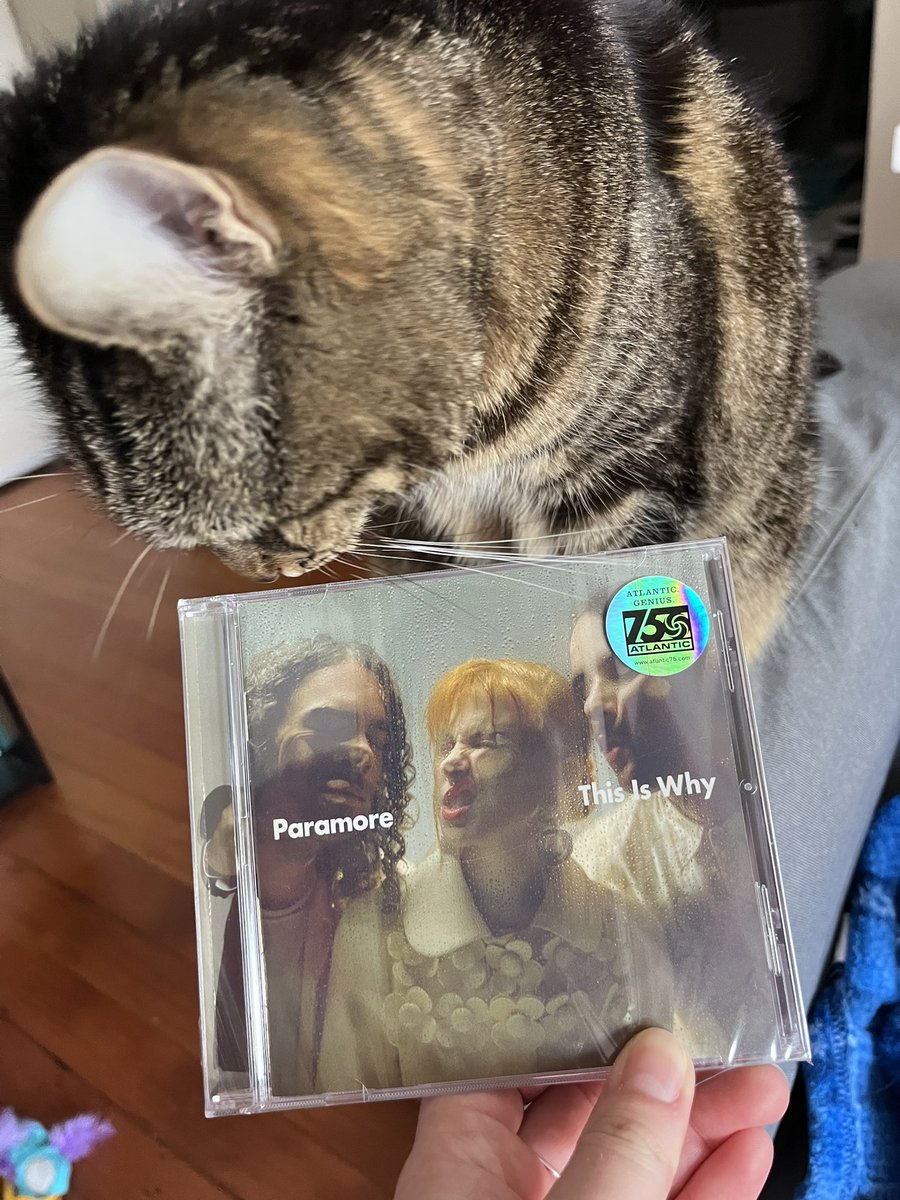 rachepedia's tweet photo. even Penelope is excited about tiw ✨ https://t.co/MDfOACReA6