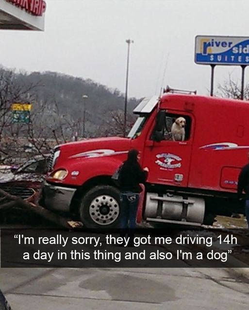 FleetGroup's tweet photo. The weekend is here old yeller start fresh Monday https://t.co/U9C9u2nVWp