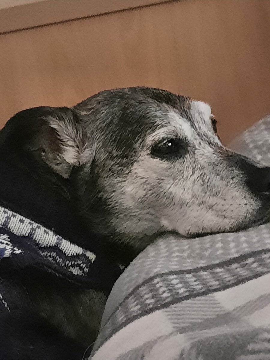 Christine Bore 💙 tweet media