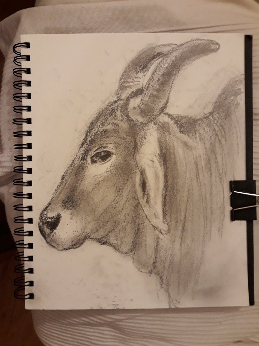 In progress...
नंदी (Nandi)10/02/2023
Graphite on Paper
21.6x28cm|8.5x11”
93 lb.150g/m2 AcidFree
10Feb2023
#नंदी #nandi #bull #cow #taurus #shiva #animaldrawing #गौमाता #गऊमाता #cowhead #mother #krishna #iskcon #krishna #cattle #indianart #vegetarian #hinduism #HinduRashtra #art