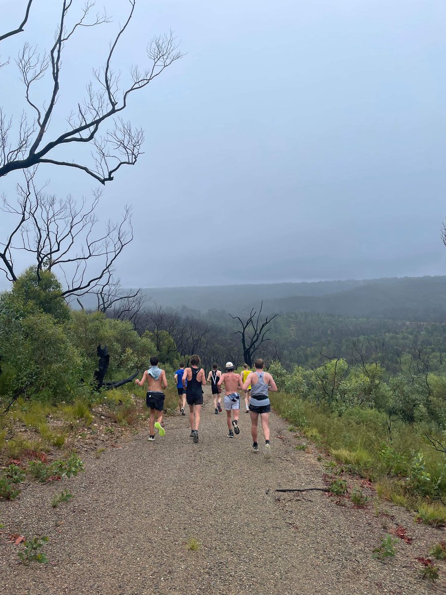 Nittaz's tweet photo. @CoachDistance 3 out of 4 weeks we climb… if you live in Adelaide … you should #loftyranges https://t.co/WOMEbYxHmS