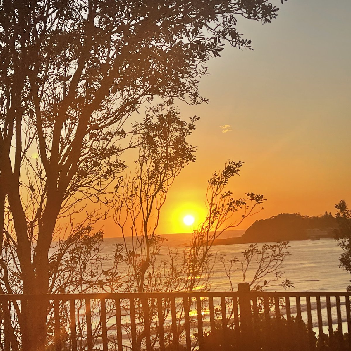 ManeeshaSem's tweet photo. on my way to work. the sun said, “ditch work today baby. come to me.” https://t.co/mQ1s6BTG1o