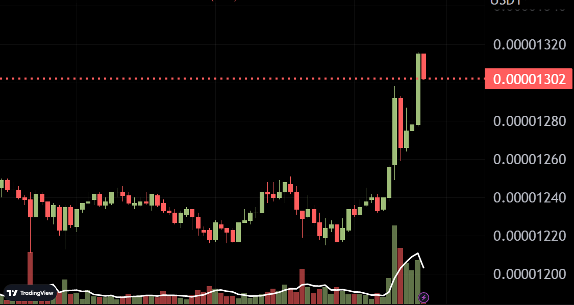 coinpushapp's tweet photo. SHIBA INU is going up!
SHIBUSDT: $0.00001313 https://t.co/XwVkRpoy27
