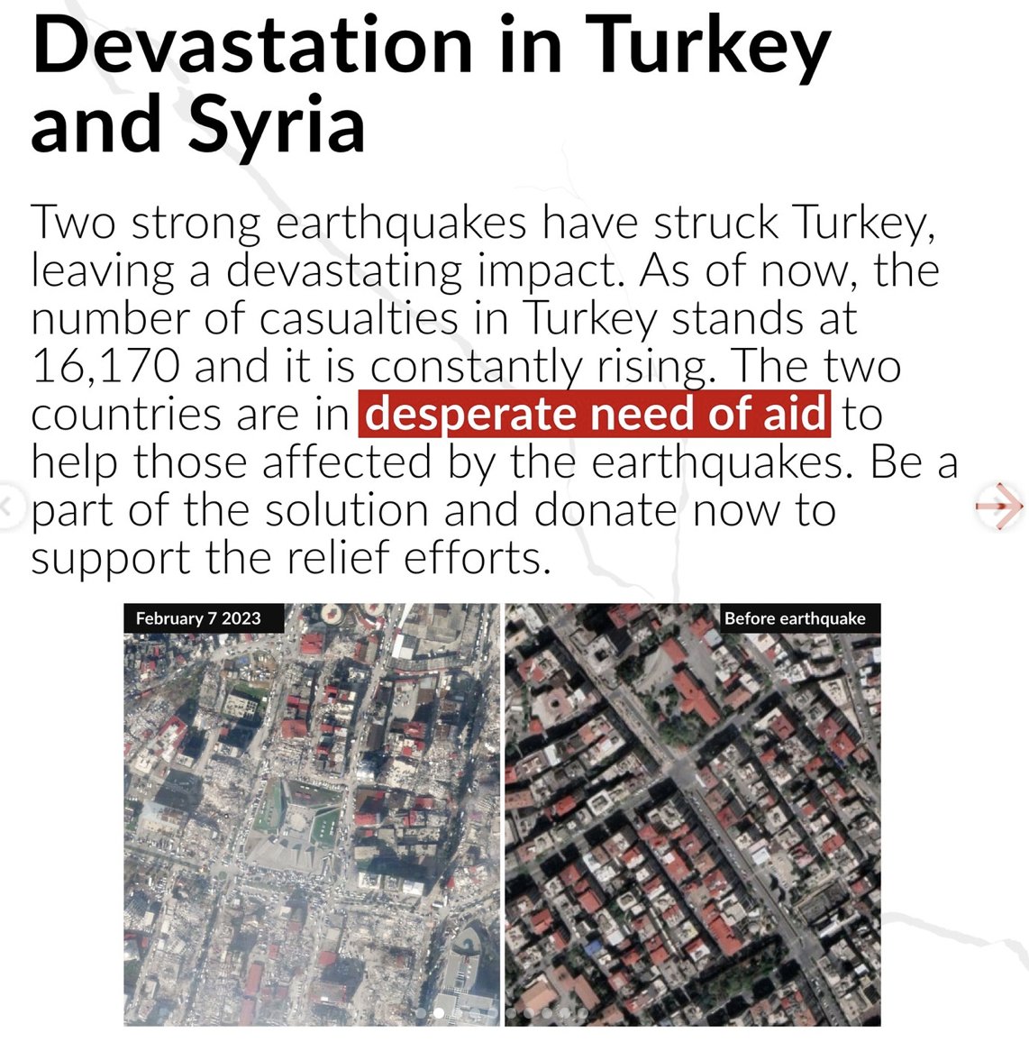 Cansu Cimen tweet media