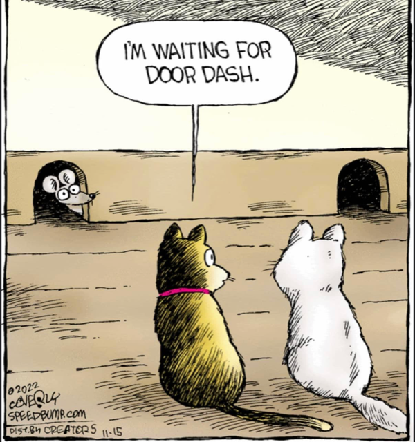 A_Yesilcimen's tweet photo. Everyone enjoys the convenience of Door Dash after a hectic week!

#feelgoodfriday  #cartoonsrock  #spreadingsmiles https://t.co/Ma6RBZiCRk
