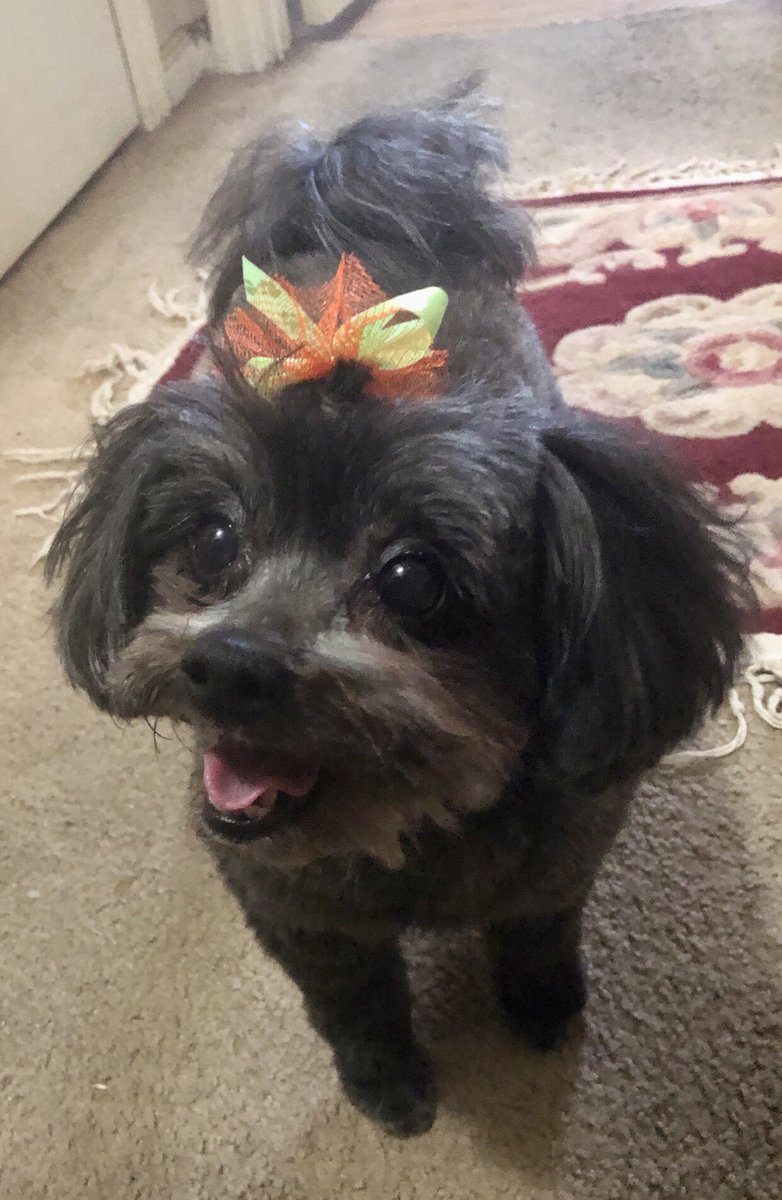 CindyCindyjd7's tweet photo. @familyxgifts I WANT THIS T-SHIRT! Resembles my Roxy and it’s true! The song has a special meaning to me too… #orderingnow https://t.co/SBEct7MLYF