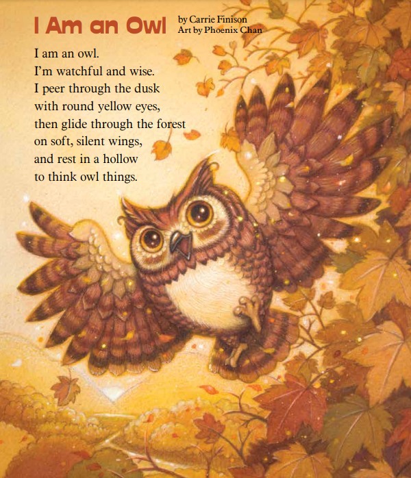 cricketmediainc tweet media