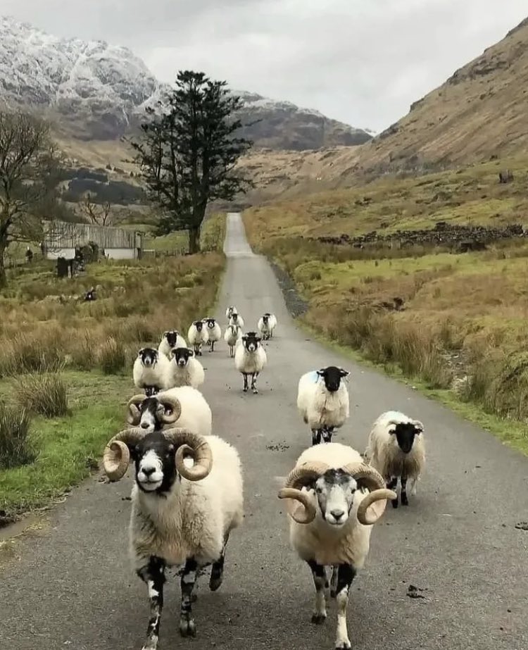 AdamPollock's tweet image. This image is a good litmus test for politics. Do you regard this image with respect or disgust?