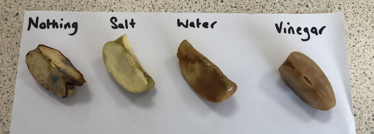 RcsFood's tweet photo. Food science with Y10 today 🍏 https://t.co/YFvpRkqzqt