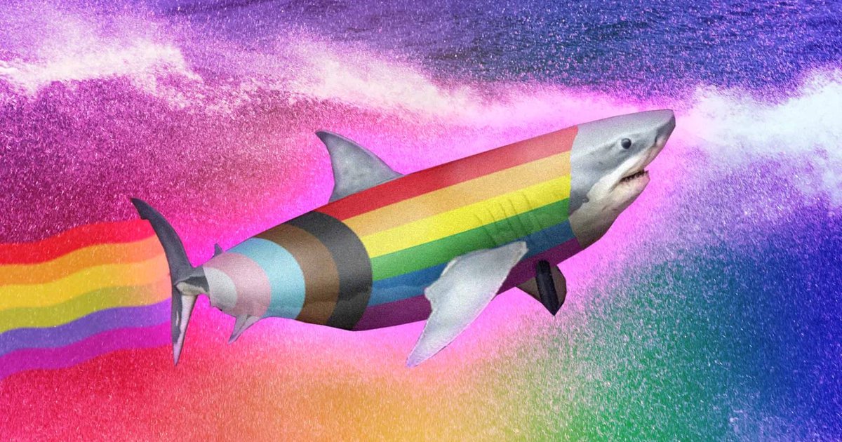 OrthopodReg's tweet photo. Proooogress Shark, doo-doo, doo-doo
Progress Shark, doo-doo, doo-doo
Progress Shark, doo-doo, doo-doo
Progress Shark
#progressshark #sydney #LGBTQ #LGBTQIA #Australia #Diversity https://t.co/4iJc1rnTfY