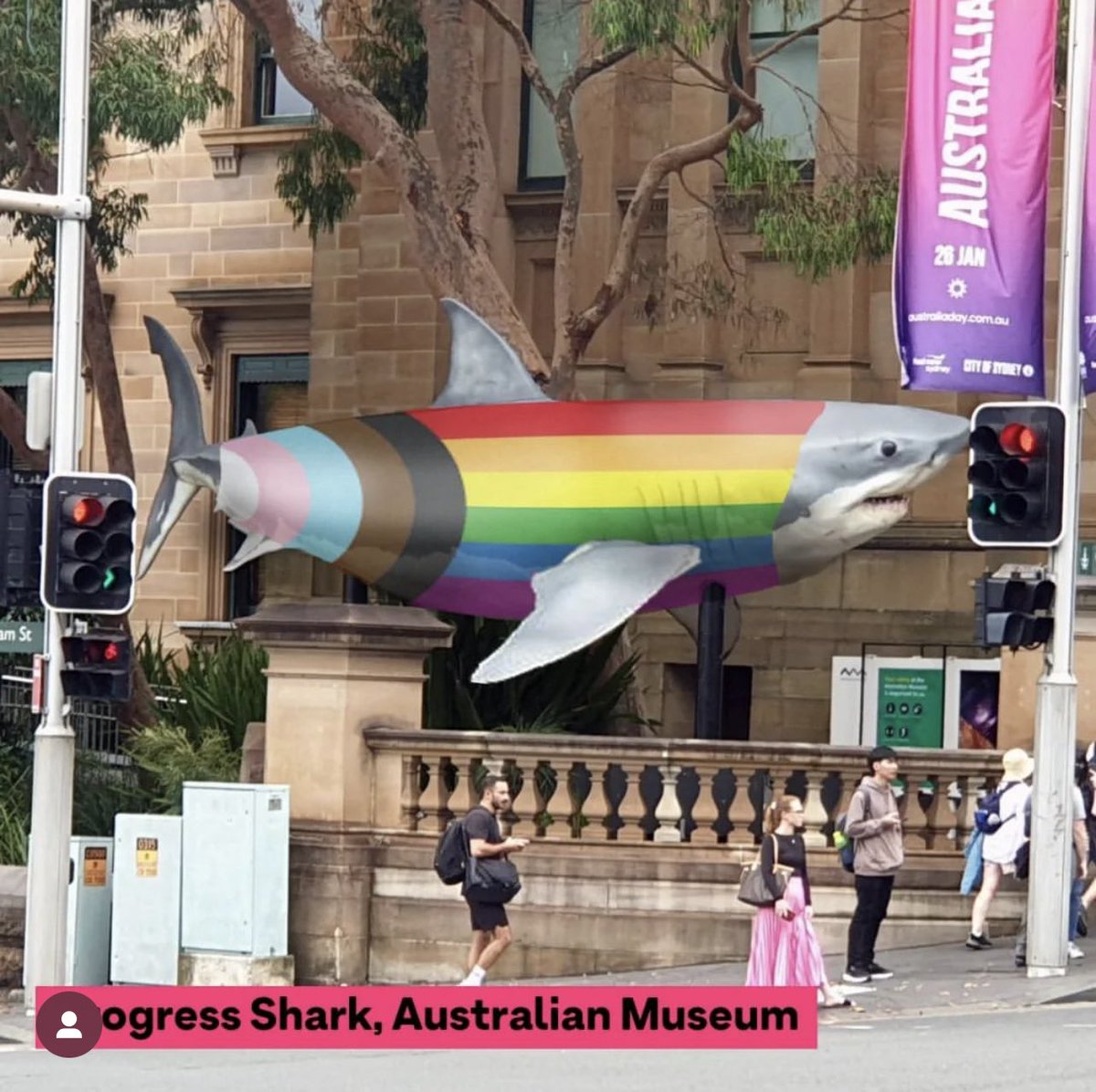 OrthopodReg's tweet photo. Proooogress Shark, doo-doo, doo-doo
Progress Shark, doo-doo, doo-doo
Progress Shark, doo-doo, doo-doo
Progress Shark
#progressshark #sydney #LGBTQ #LGBTQIA #Australia #Diversity https://t.co/4iJc1rnTfY
