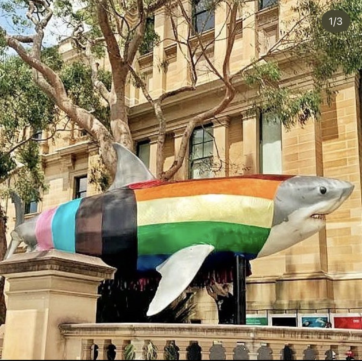 OrthopodReg's tweet photo. Proooogress Shark, doo-doo, doo-doo
Progress Shark, doo-doo, doo-doo
Progress Shark, doo-doo, doo-doo
Progress Shark
#progressshark #sydney #LGBTQ #LGBTQIA #Australia #Diversity https://t.co/4iJc1rnTfY