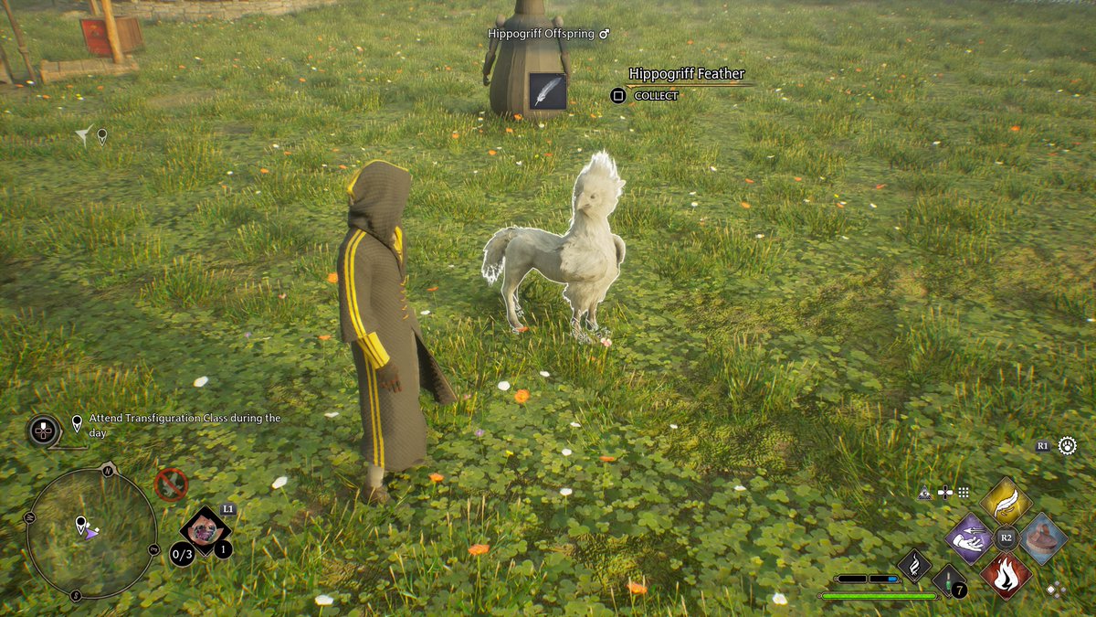 iStayPeaceful's tweet photo. #PS5Share, #HogwartsLegacy https://t.co/QkIkkQzQhA