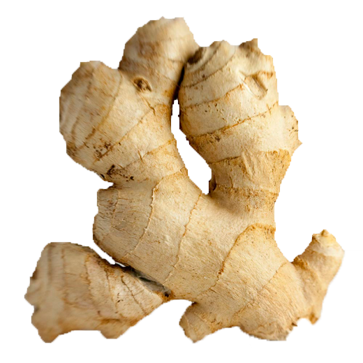 VisionProduceCo's tweet photo. Is Ginger a Superfood?  Maybe not to everyone, but it does have some great benefits:

Benefit #1: Relieves Nausea · Benefit #2: Dampens Inflammation · Benefit #3: Improves Circulation · Has been linked to reducing blood pressure and weight reduction and is high in antioxidants. https://t.co/1mI1tsiMvL