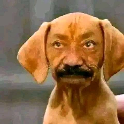 prazzypeter's tweet photo. I'm just looking at you, behave yourself Boy https://t.co/yYMc4gTjdI