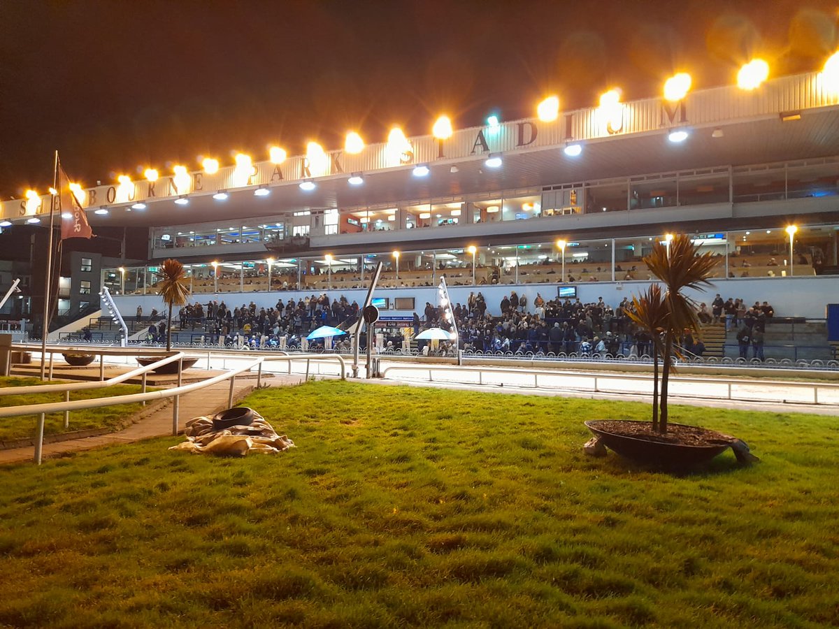 shelbournepark's tweet photo. A full restaurant &amp; busy stand tonight as we welcome plenty of French supporters as they enjoy their night of great food &amp; drink &amp; exciting Greyhound racing!

💙 for 1 night only... Allez les bleus!(obvs we're team Ireland tomorrow! 🍀)

#Dublin #GoGreyhoundRacing #ThisRunsDeep https://t.co/WTjr8bi7Z5