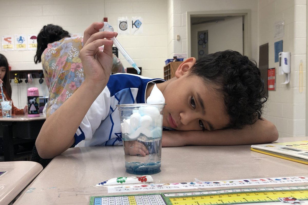 MsGillettMEA's tweet photo. Our scientists learned so much about precipitation with their rain clouds in a cup 🧪🌧 https://t.co/R7v3WJx5Bv