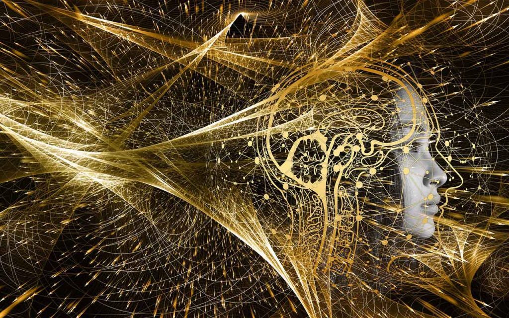 ModernMeditator's tweet photo. New on the site: How Meditation Builds Your Metacognitive Intelligence https://t.co/X0P6vGWXq9