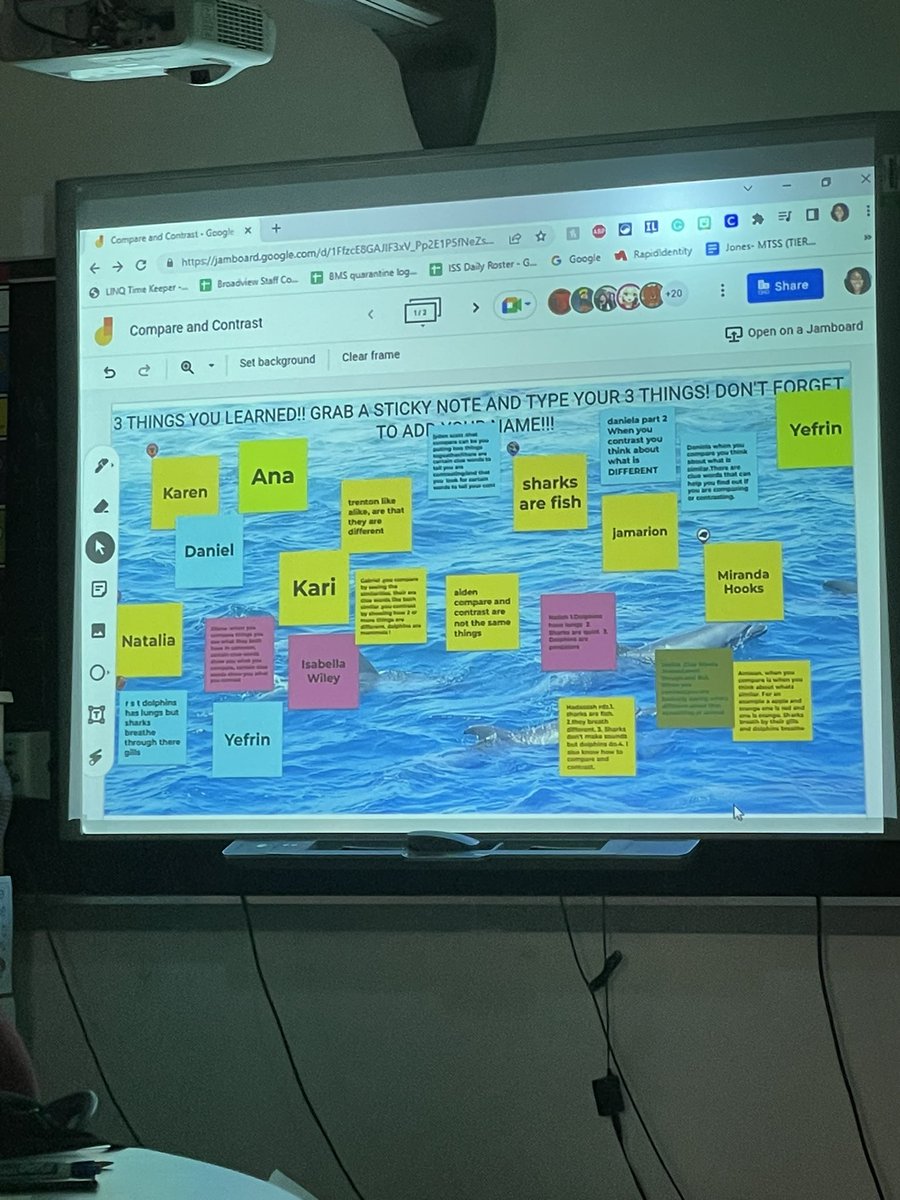 Brittany Jackson tweet media