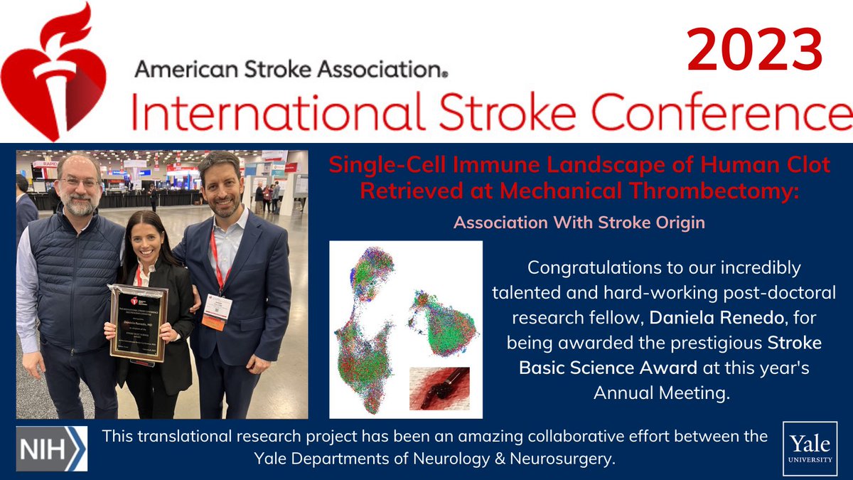 Just super proud of our post-doctoral research fellow, Daniela Renedo, for leading this highly collaborative effort between the Yale Departments of Neurology & Neurosurgery. Way to go, Daniela! #ISC2023 @StrokeAHA_ASA