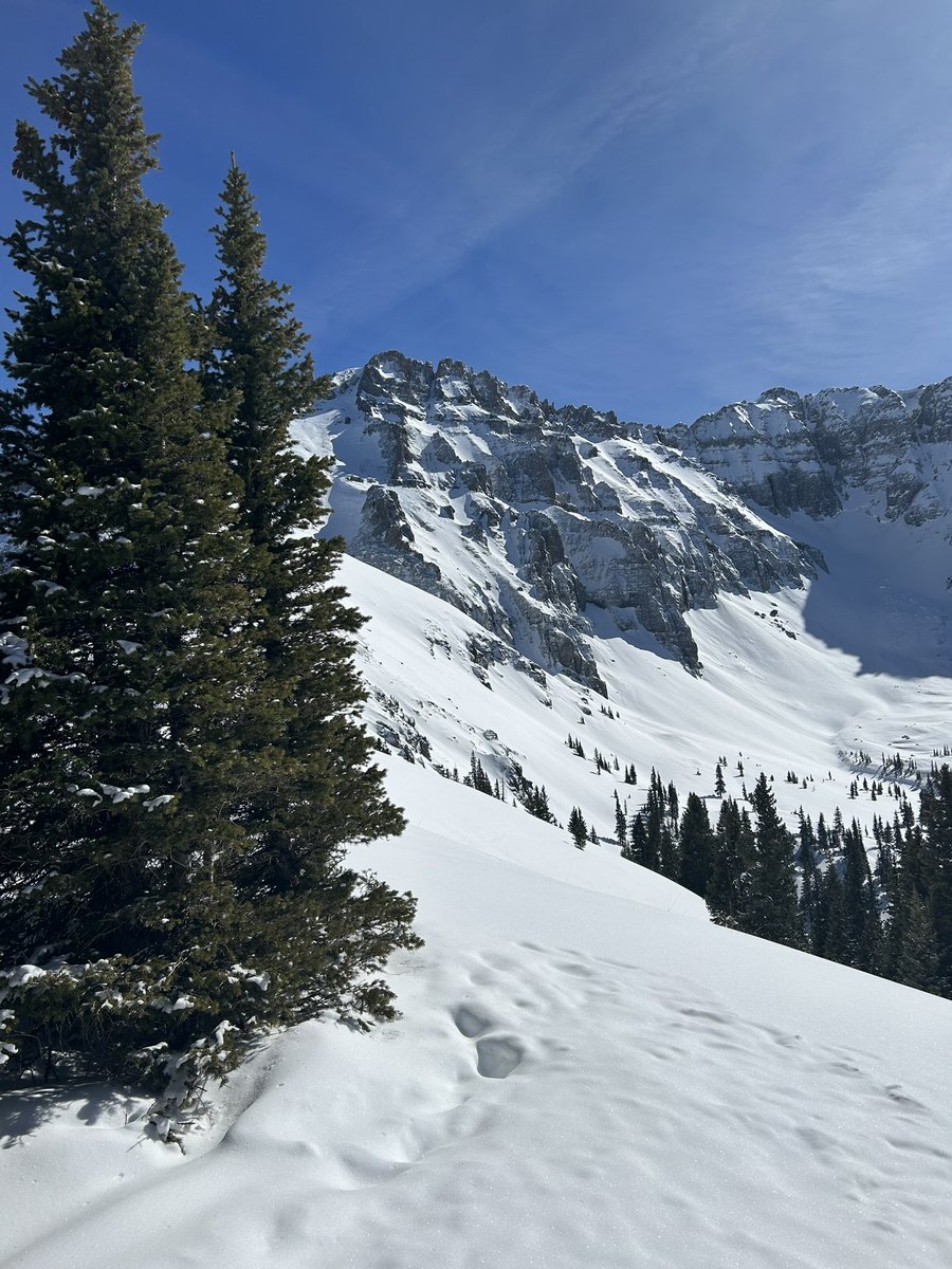 HiJinxVideo's tweet photo. There you go @Telluride https://t.co/msNEDlzf57