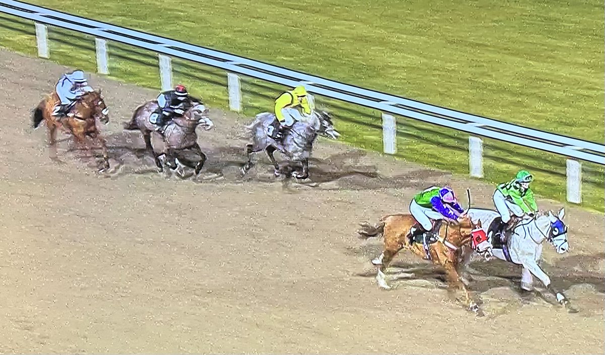 amajox's tweet image. Congratulations @amajox @MaddisonWright7 FIRST WINNER
🥇#Stormingin @IJF_official @ChelmsfordCRC 
@gl_racing #daytoremember #8ran #topride #topjock 👏👏👏👏👌🌟