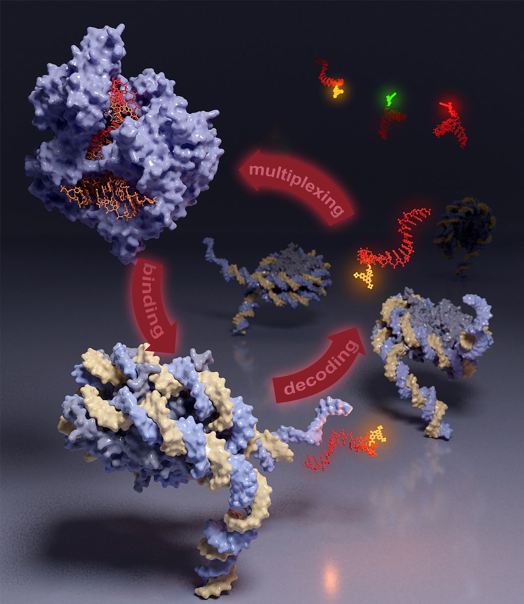 Mad City Labs tweet media