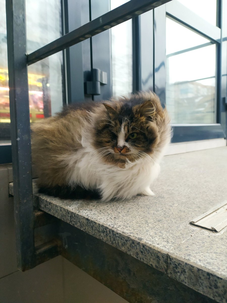 Громова хмаринка