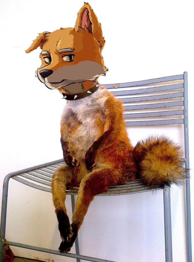 BlessedDogsPxL's tweet photo. Gn fam, don't forget to feed your pets! https://t.co/z0DJuEXDkR