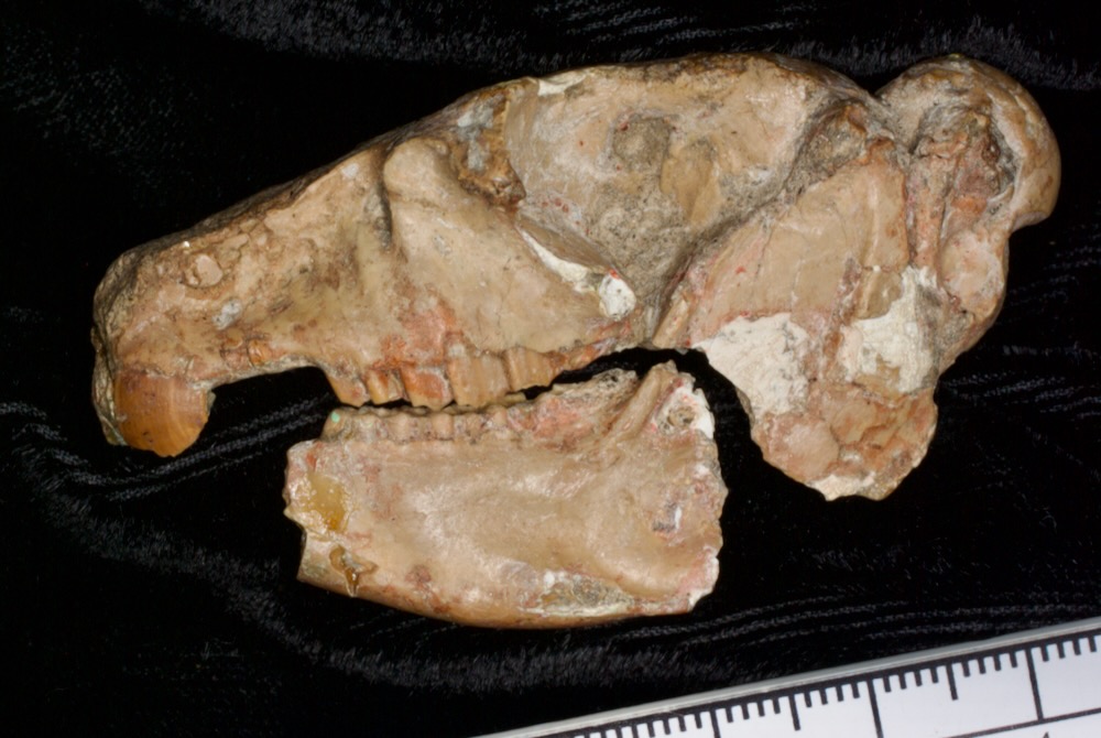 Darin Croft tweet media