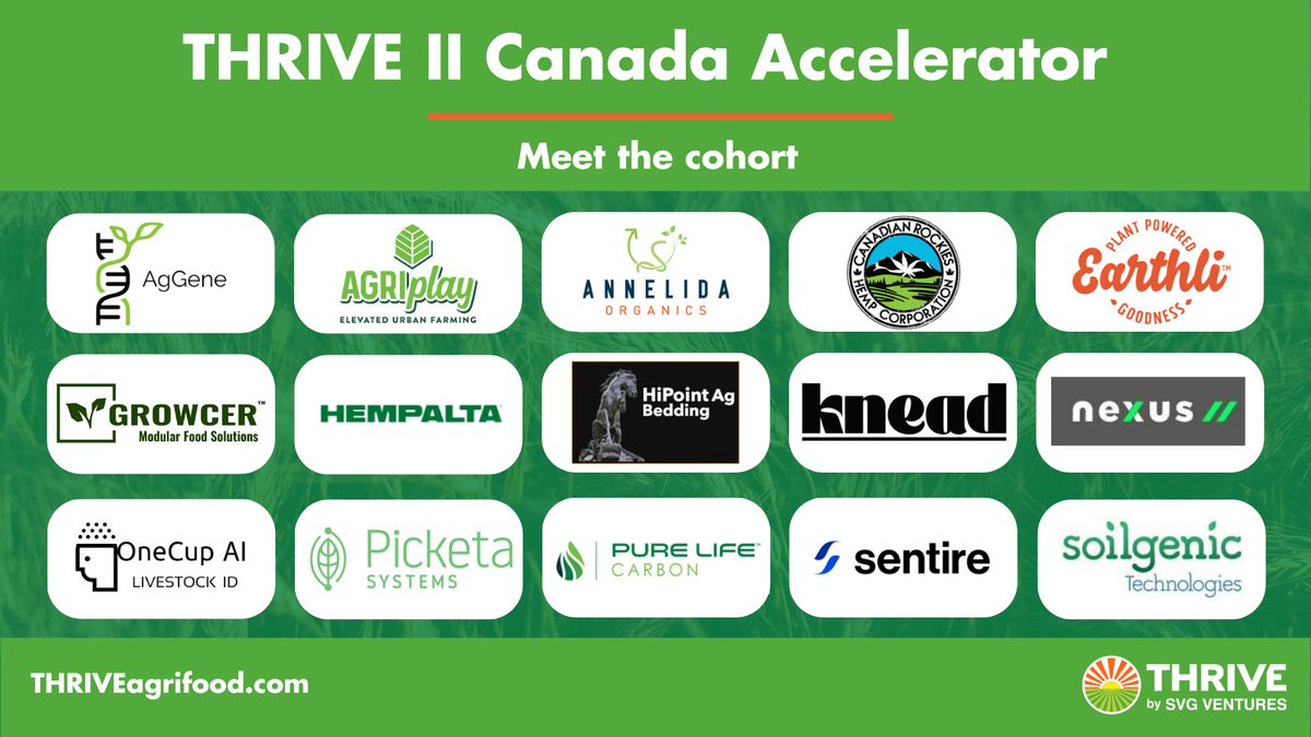 Knead Tech Inc tweet media