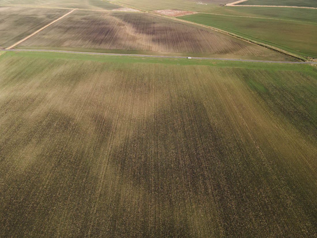 Areas of silt 'roddons' in the Norfolk Fens near Welney yesterday. Quite a challenge for precision farming?
#thefens #welney #soils