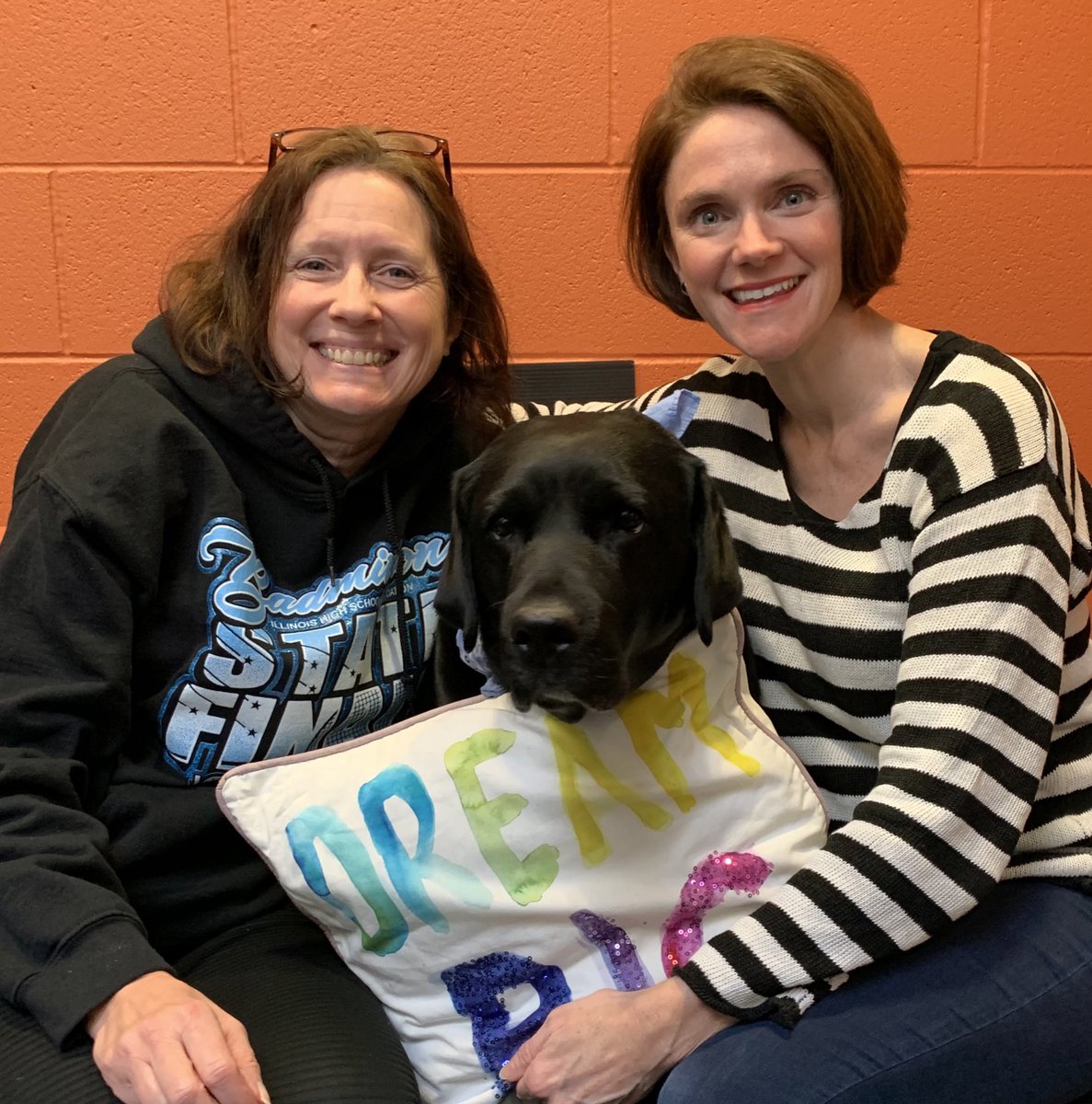 LHSWrigley's tweet photo. Happy School Counseling Week to my office buddies and 2 of the best in the business!  Thankful they let me snore in their office sometimes.  This school is full of amazing professionals who help all our Wildcats DREAM BIG - they should have a whole month to celebrate!
🧡🖤 https://t.co/UwSaaVw3uD