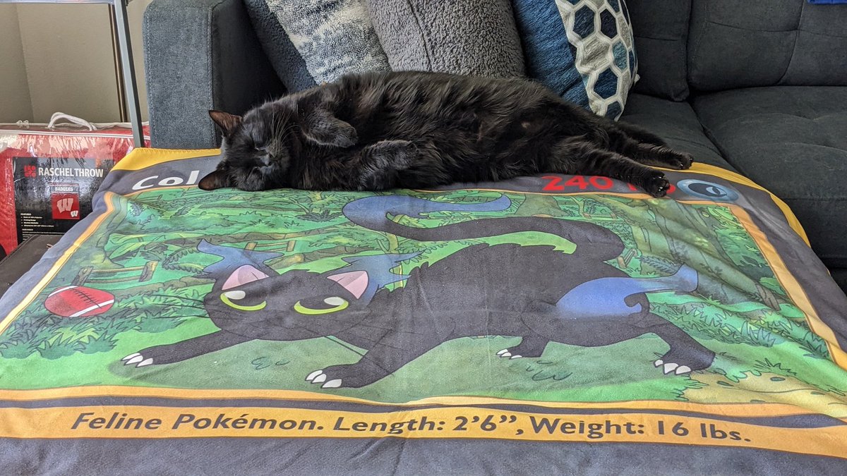 Steven Hudy  tweet media