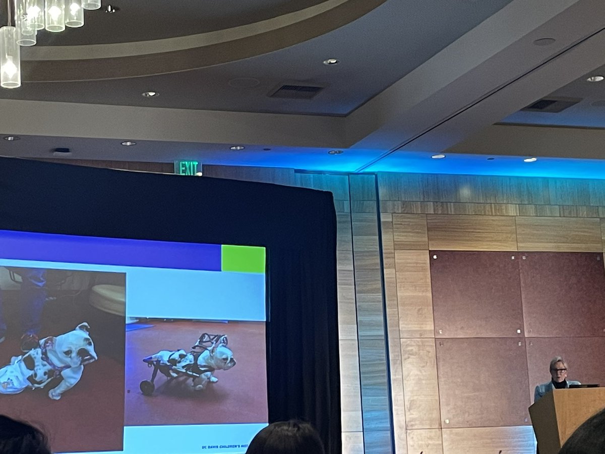 Rhea Udyavar, M.D. (@rheaudyavar) on Twitter photo Bulldogs with spina bifida?! 🐶 Fascinating insights into translational medicine from a trailblazing surgeon scientist, <a href="/DianaFarmerMD/">Diana Farmer</a> <a href="/SeattleSurgical/">Seattle Surgical Society</a> Bulldogs with spina bifida?! 🐶 Fascinating insights into translational medicine from a trailblazing surgeon scientist, <a href="/DianaFarmerMD/">Diana Farmer</a> <a href="/SeattleSurgical/">Seattle Surgical Society</a>